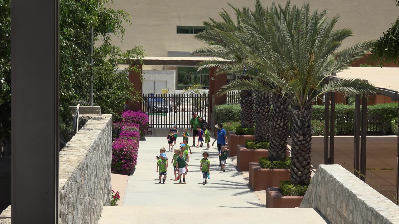 At 0:01 in Cabo San Lucas, the children and adult supervisors are farther down the walkway, with the large palm trunk and magenta flowers framing the group.