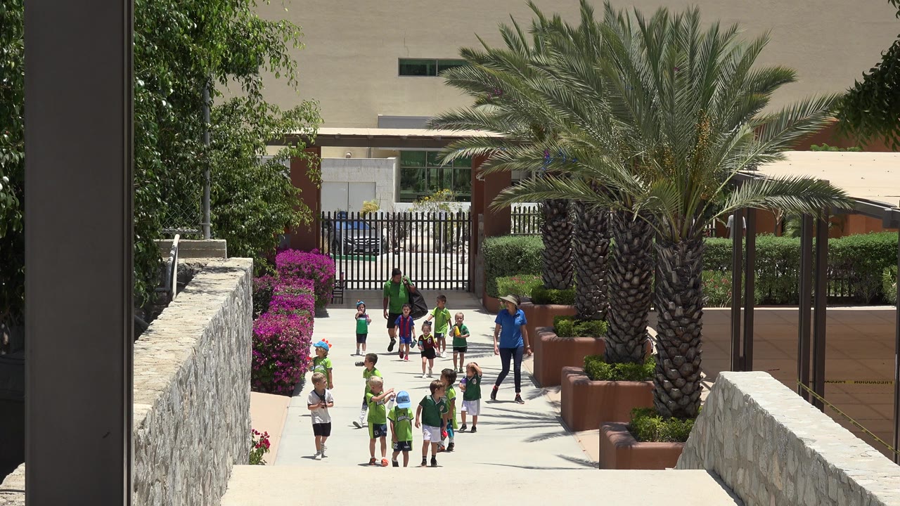 Children in green soccer uniforms and adults walk along a bright paved path in Cabo San Lucas, Mexico, with a large palm, pink flowers, stone walls, and a black gate behind them.