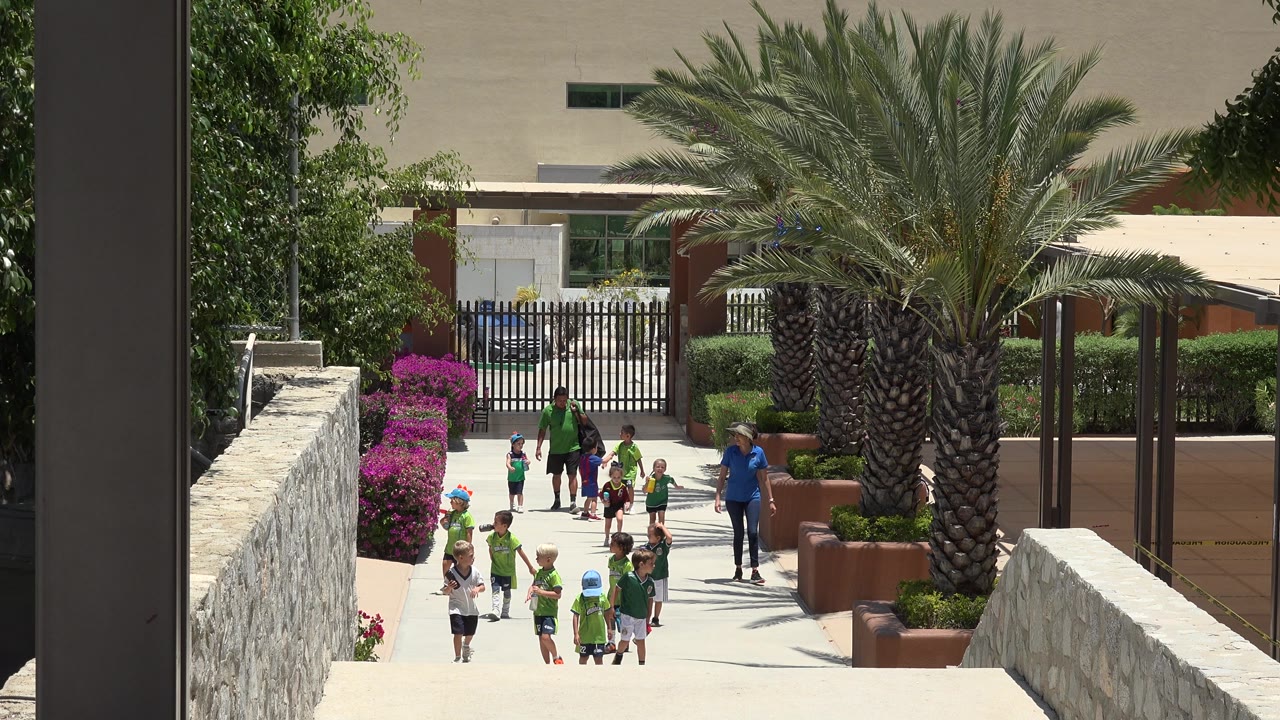 Children in soccer uniforms gather near the center of a path beside a large palm.