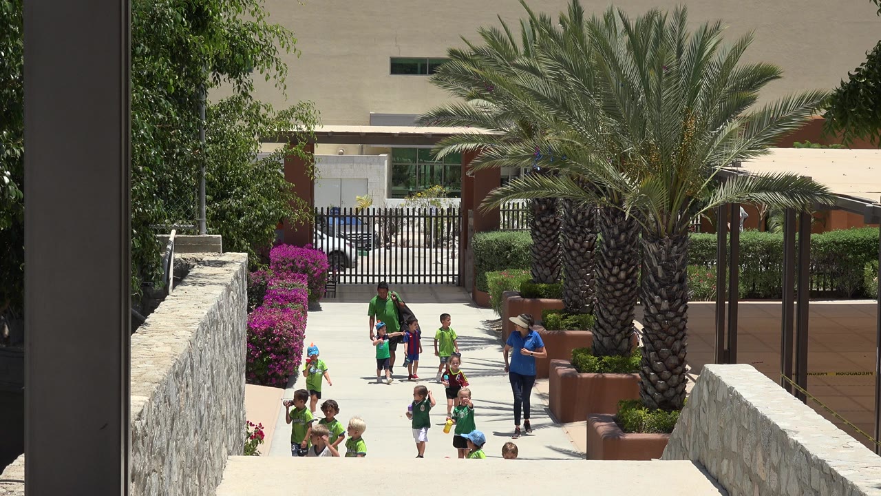 One second in, the children are more spread across the walkway in Cabo San Lucas, with adults nearby and the palm, hedges, stone walls, and gate still visible.