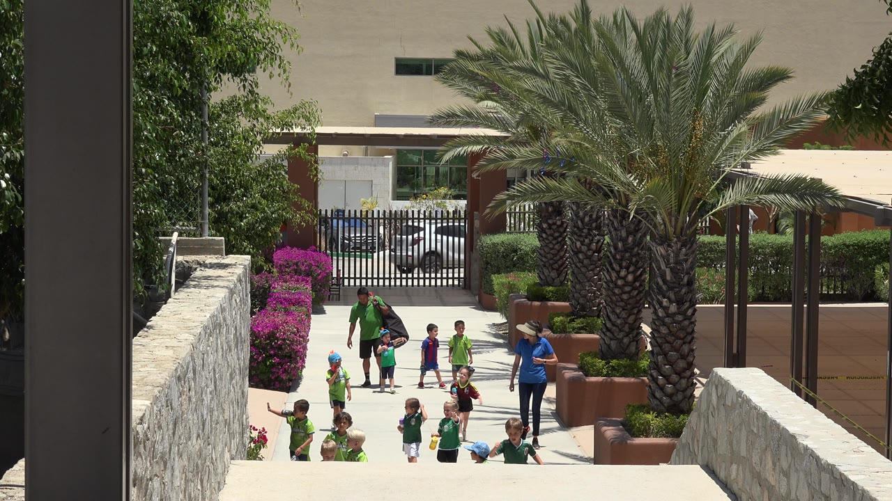 Group of children and adults walking toward camera beside a large palm.
