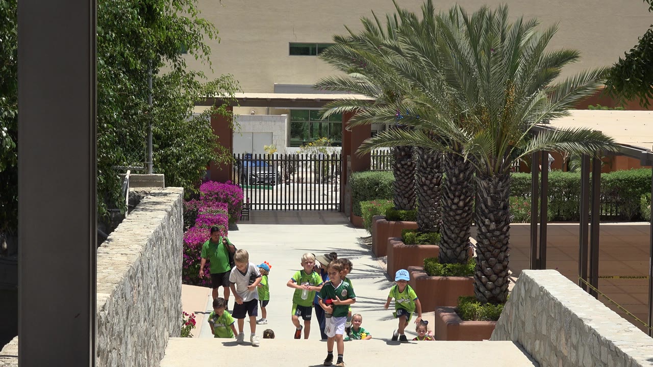 One second in, the children are slightly closer on the Cabo San Lucas walkway, with an adult at the left, bright flowers beside the wall, and the palm centered behind them.