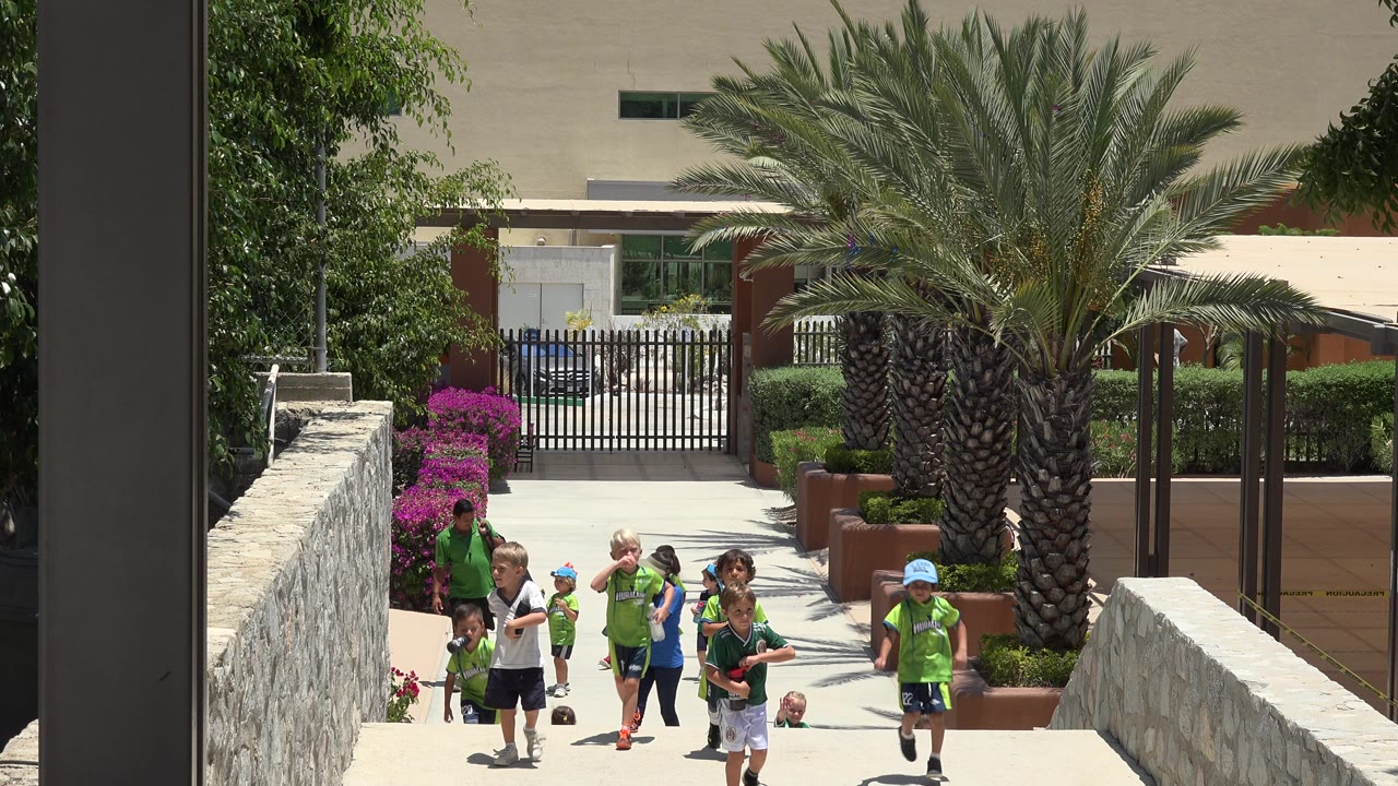 Group of children moving closer on the ramp by a palm tree.