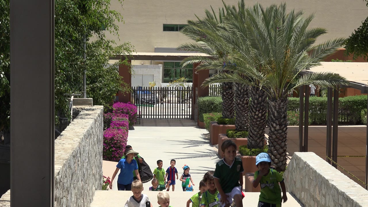 Children in green and blue soccer uniforms walk uphill on a bright ramp in Cabo San Lucas, Mexico, with a large palm tree, stone walls, hedges, and pink flowers behind them.