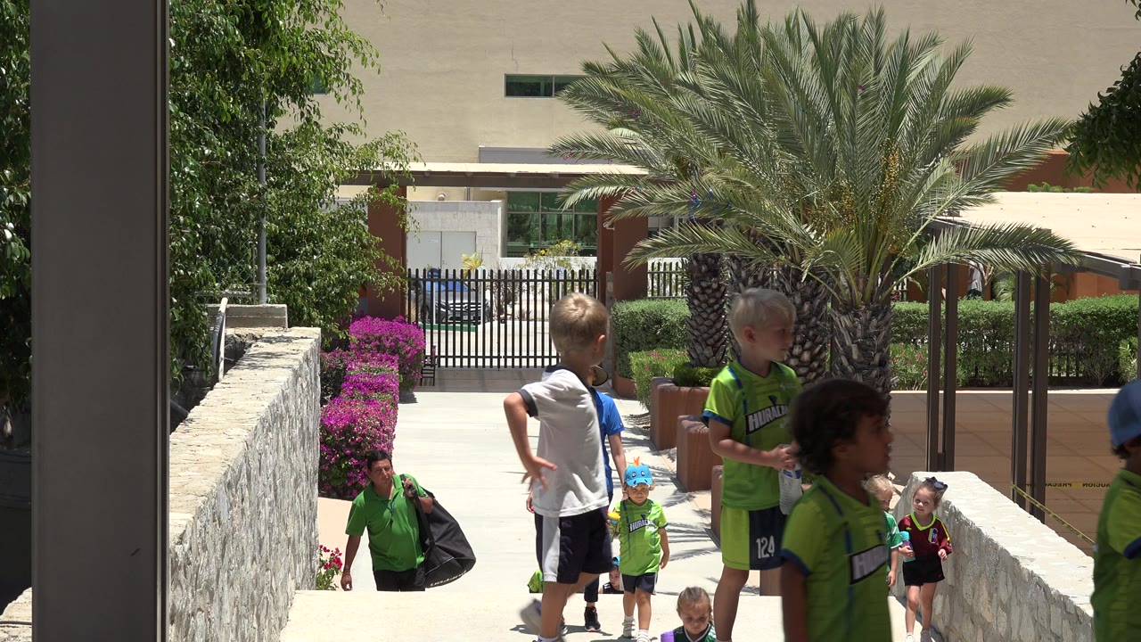 In Cabo San Lucas, several children and adults occupy the walkway, with a large palm trunk centered behind them and a gated entrance in the background.