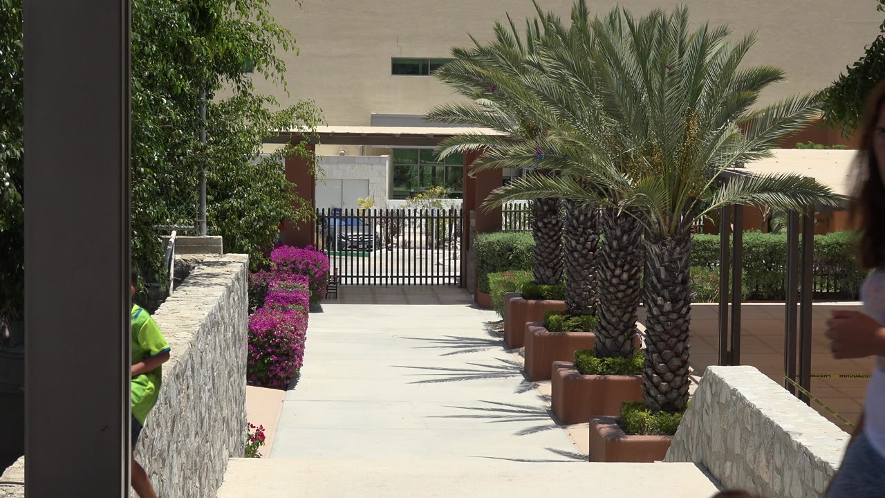Palm-lined walkway with stone walls and flowering shrubs.
