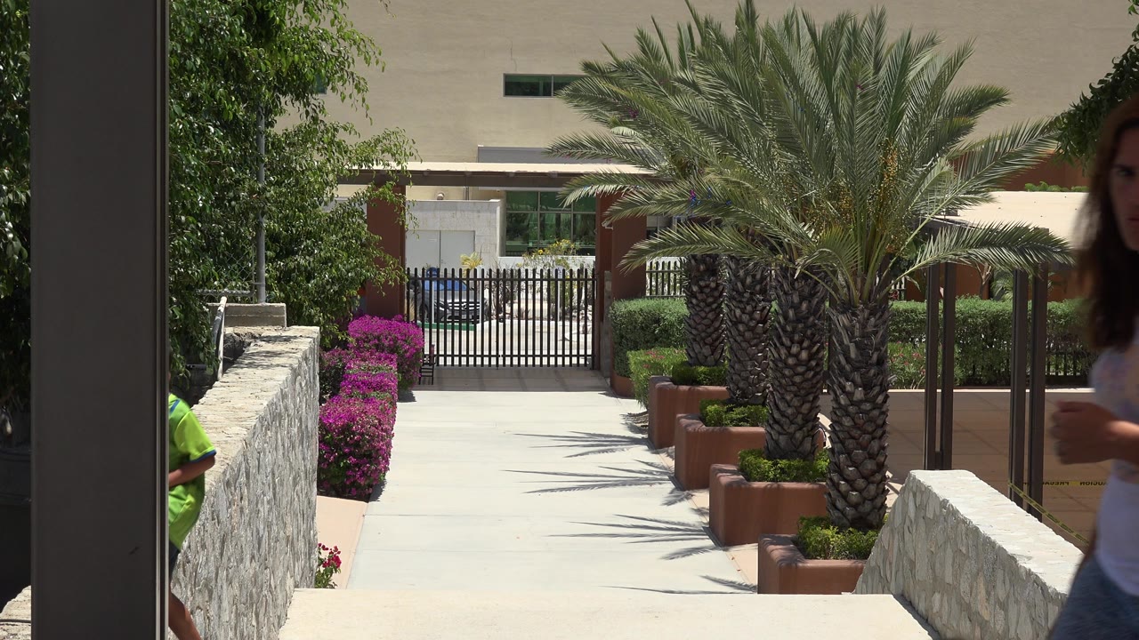 Cabo San Lucas walkway with the central palm and gated background, while an adult woman is partly visible along the right edge in the foreground.