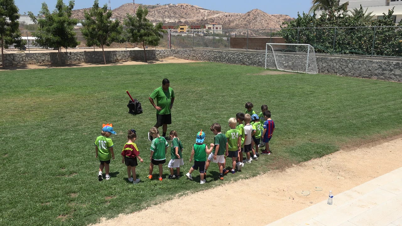 Children line up near a coach on a sunny soccer field.