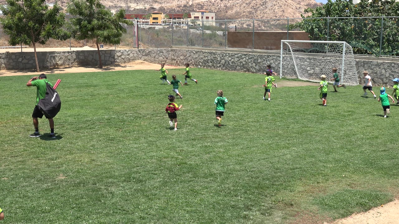 Children playing soccer on a grass field near a white goal.