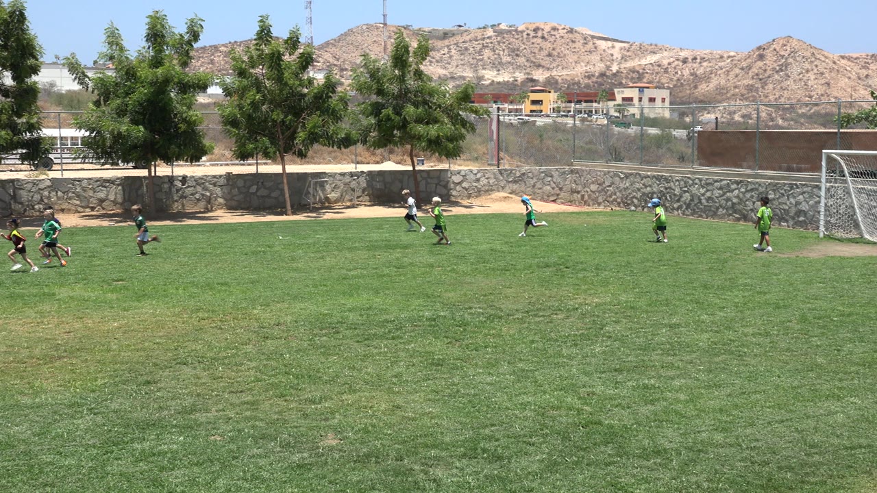 Children play soccer on a grass field near a goal and stone wall.