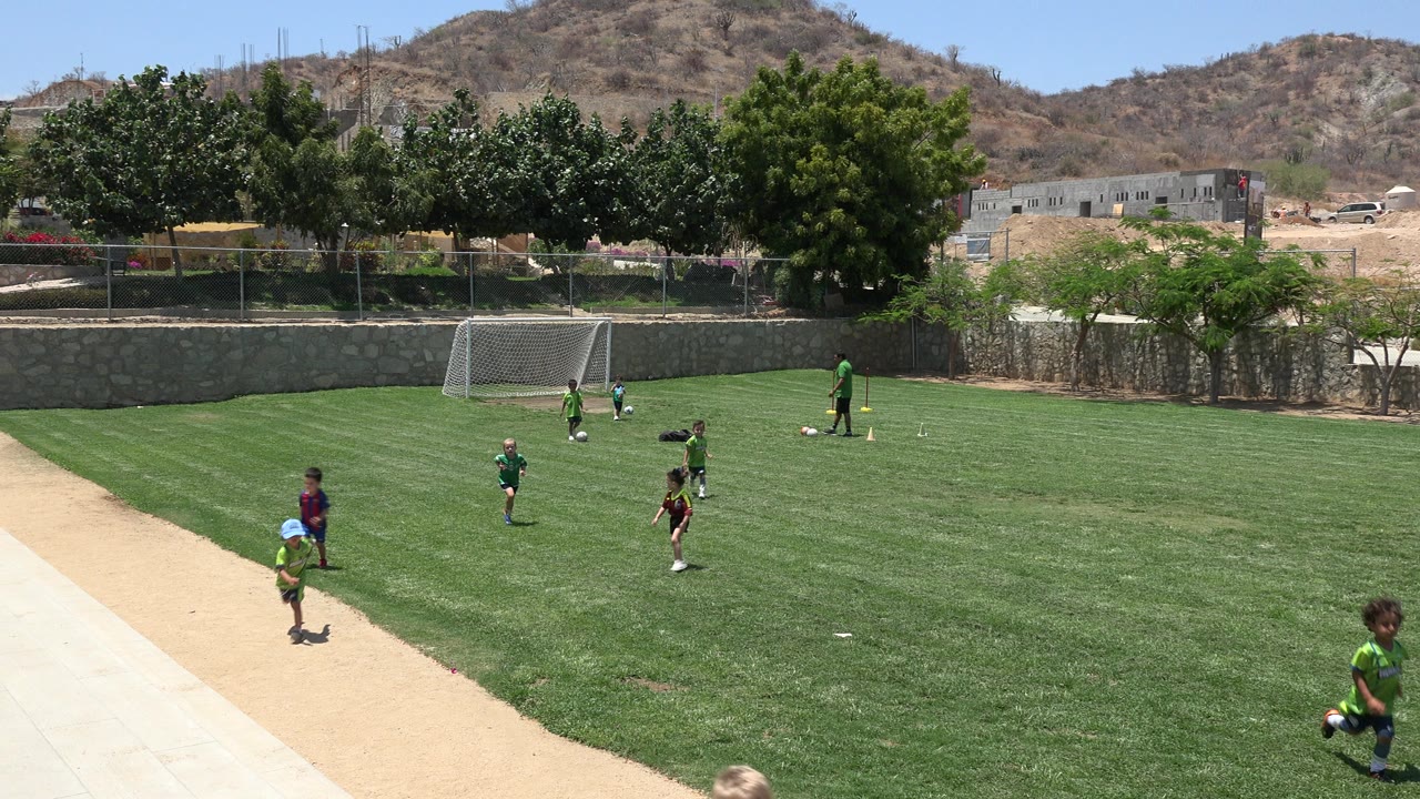 Children playing soccer on a green field beside a pale path.