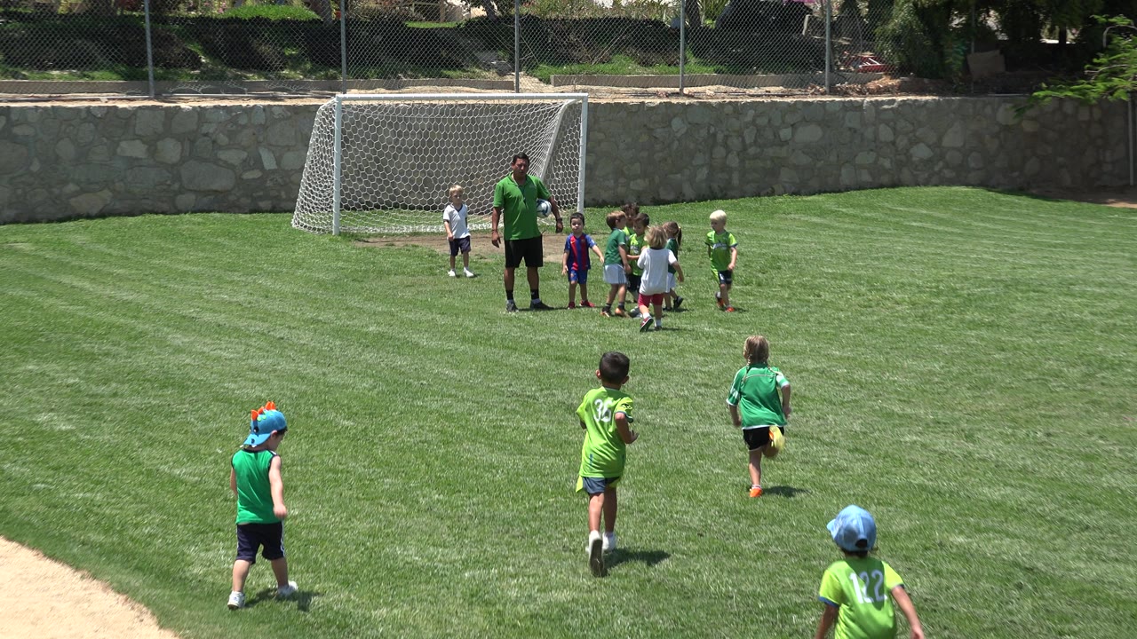 Children in soccer jerseys gather near a coach by the goal.