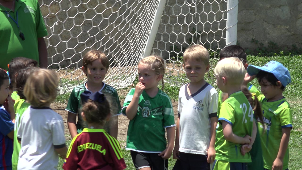 Group of children in green and white soccer jerseys near the goal.