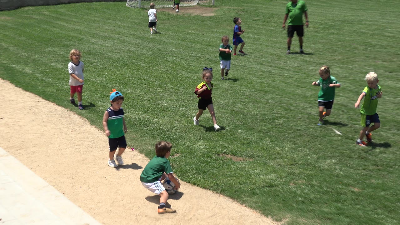 Children on a grass soccer field with a coach near a goal.