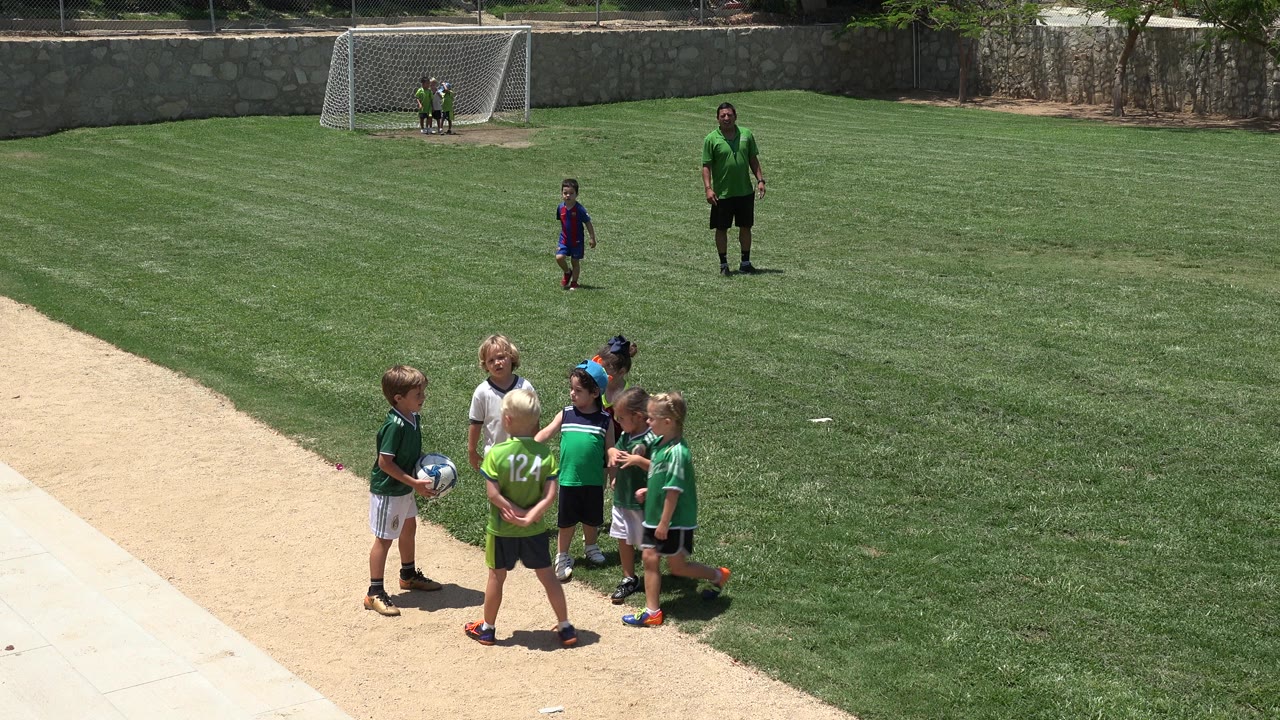 Children in soccer jerseys gather on a grass field near a sandy path.