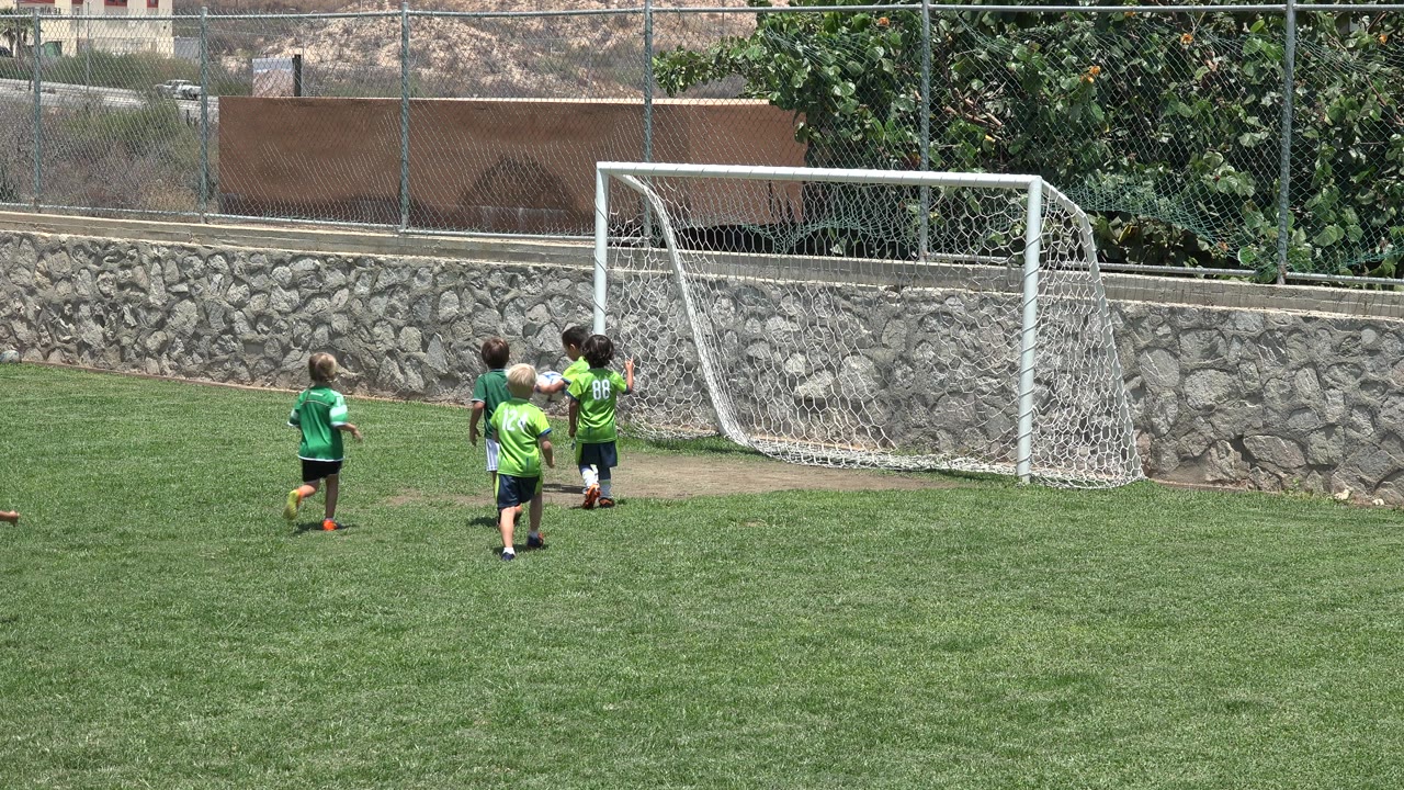 Children in green soccer jerseys near a white goal on a grass field.
