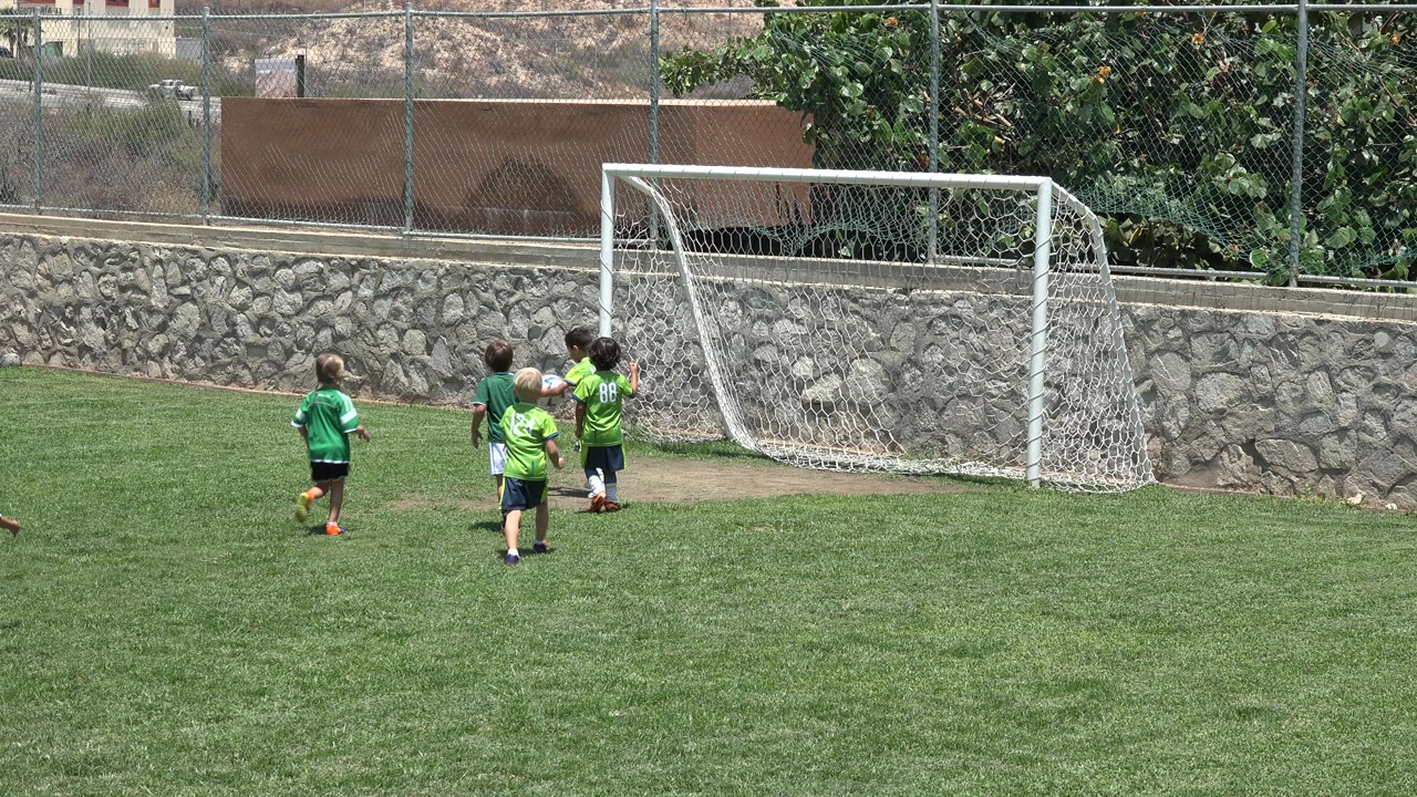 Small children in green shirts cluster near the goal mouth on the grass field, with the white net and stone wall behind them in Cabo San Lucas, Mexico.