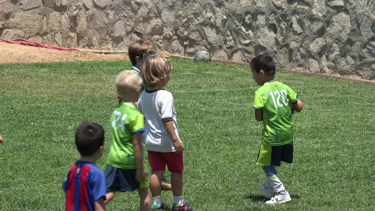Children in soccer jerseys stand on a grass field near a stone wall.