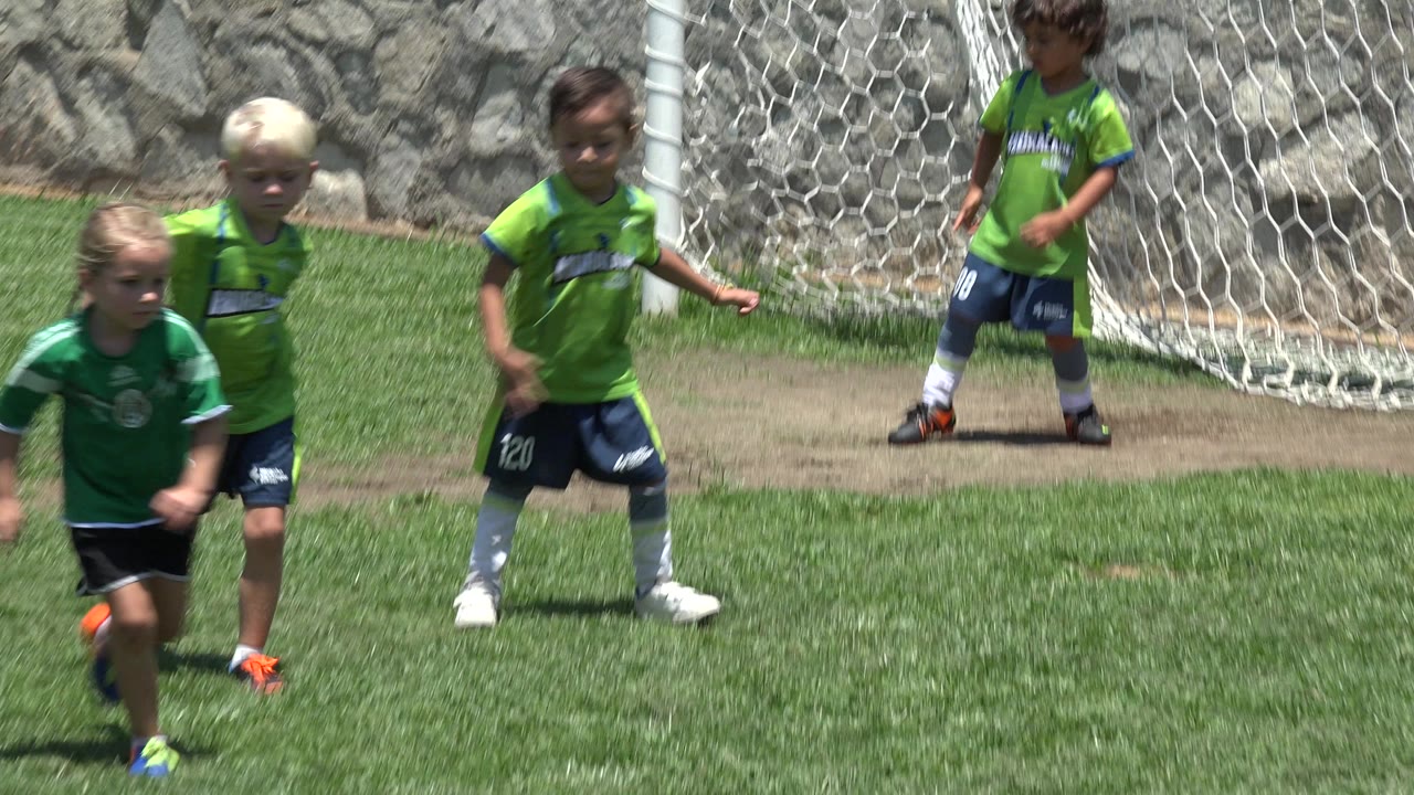 Children in soccer uniforms near a goal on a grass field.