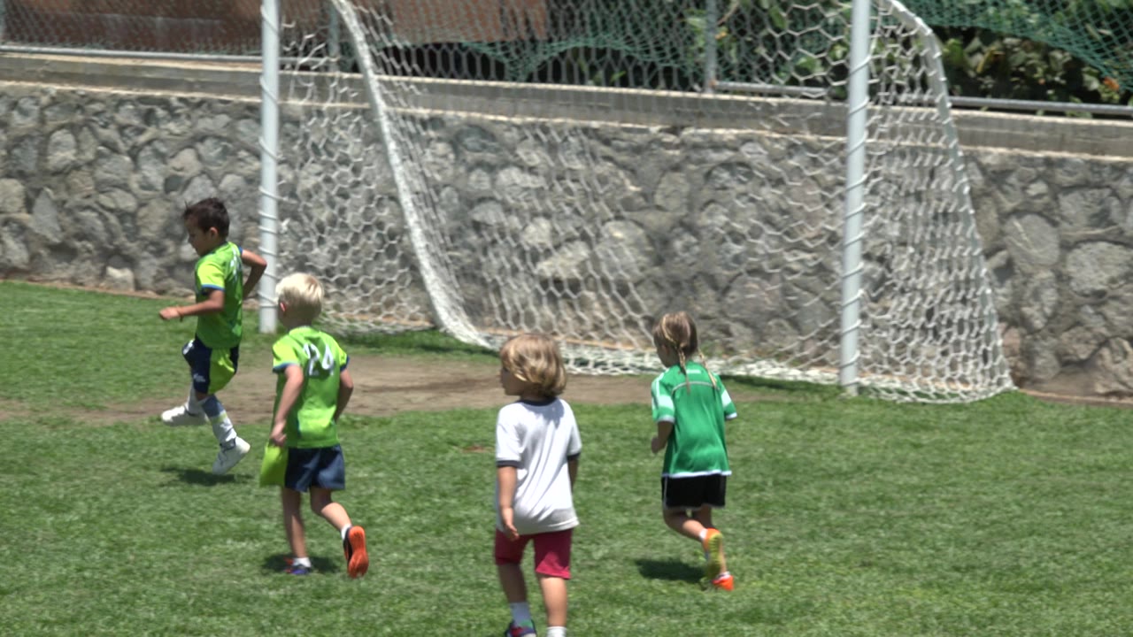 Children running near a soccer goal on a grass field.