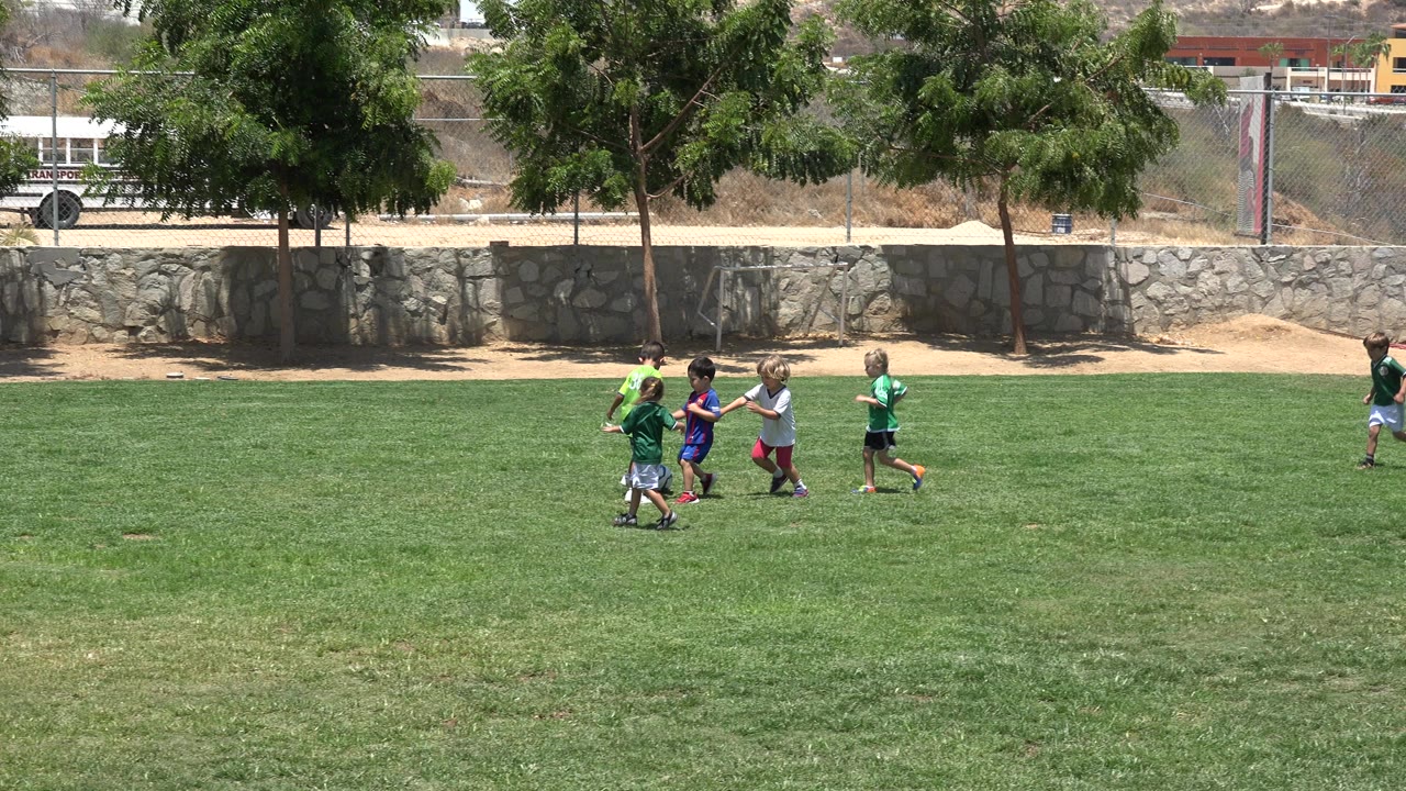 Children running on a green soccer field near trees and a stone wall.