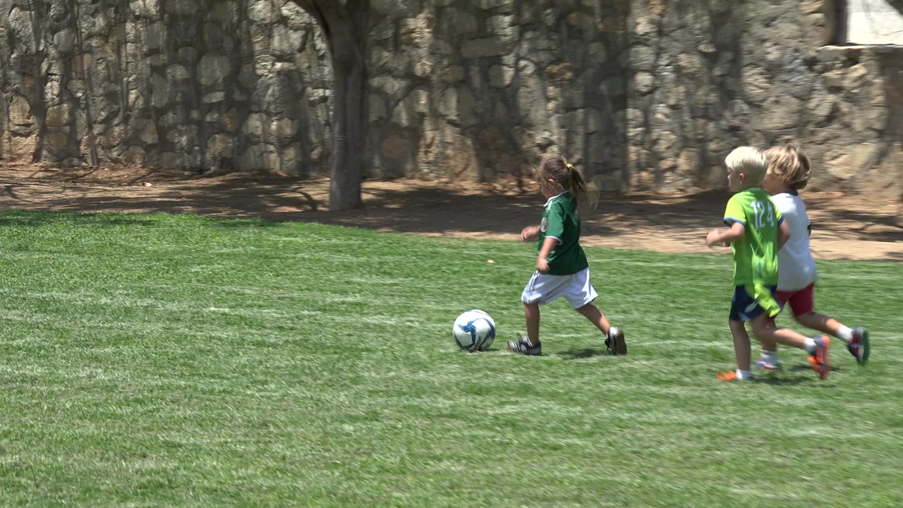 Children run after a soccer ball on a sunny grass field.