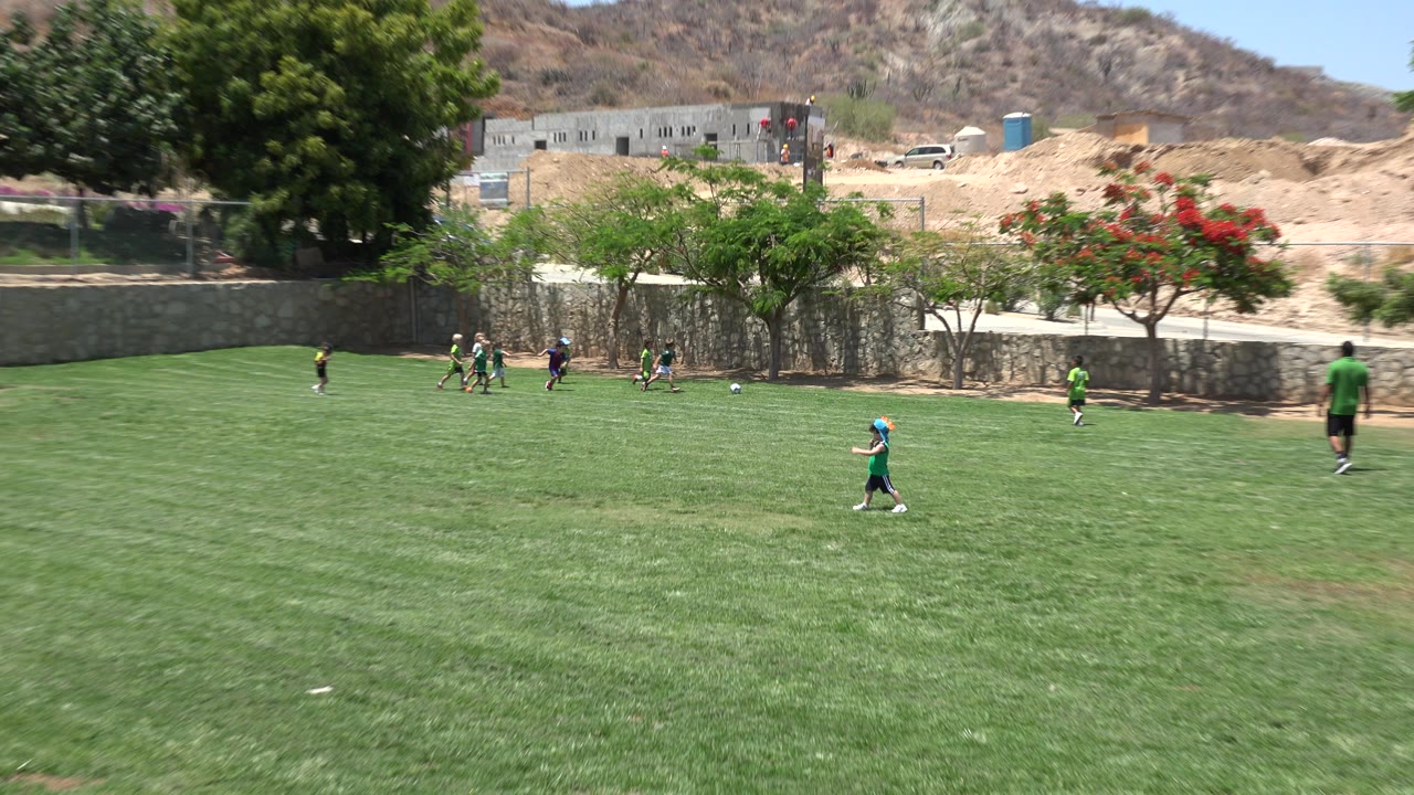 Wide view in Cabo San Lucas of children spread across a green soccer field, with trees, a stone wall, and a dry hillside behind them.