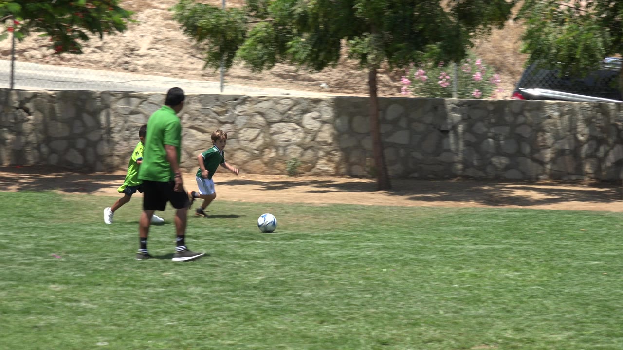 Adult and two children near a soccer ball on a grass field.