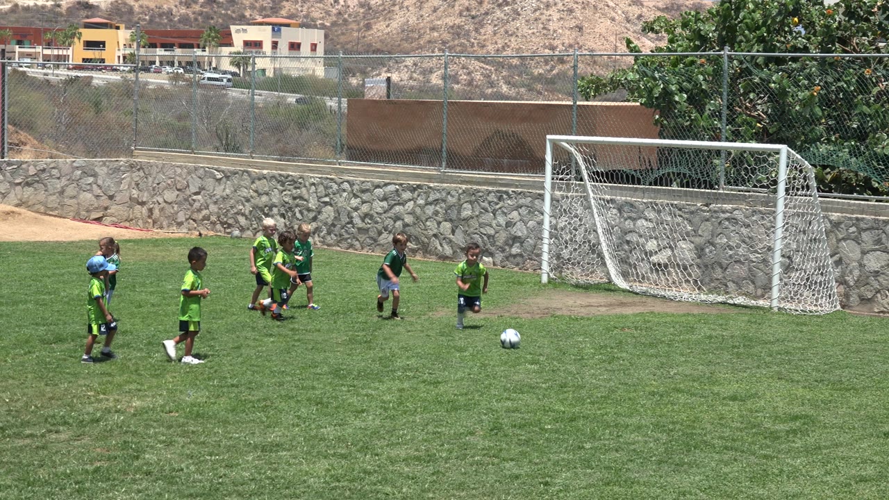 Children in soccer uniforms move across the grass with a ball near the right side of the frame.