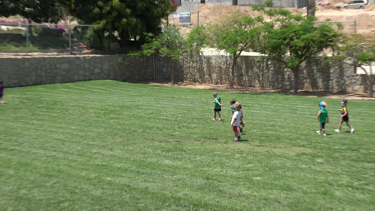 Children spread out on a sunny grass field.