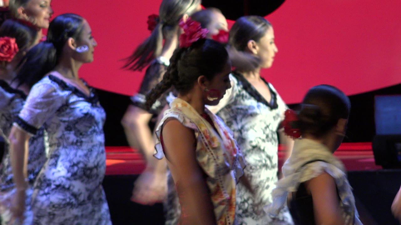 Several female dancers in patterned costumes stand in layered profile on a pink stage in Cabo San Lucas, Mexico, with red hair flowers and faces visible.