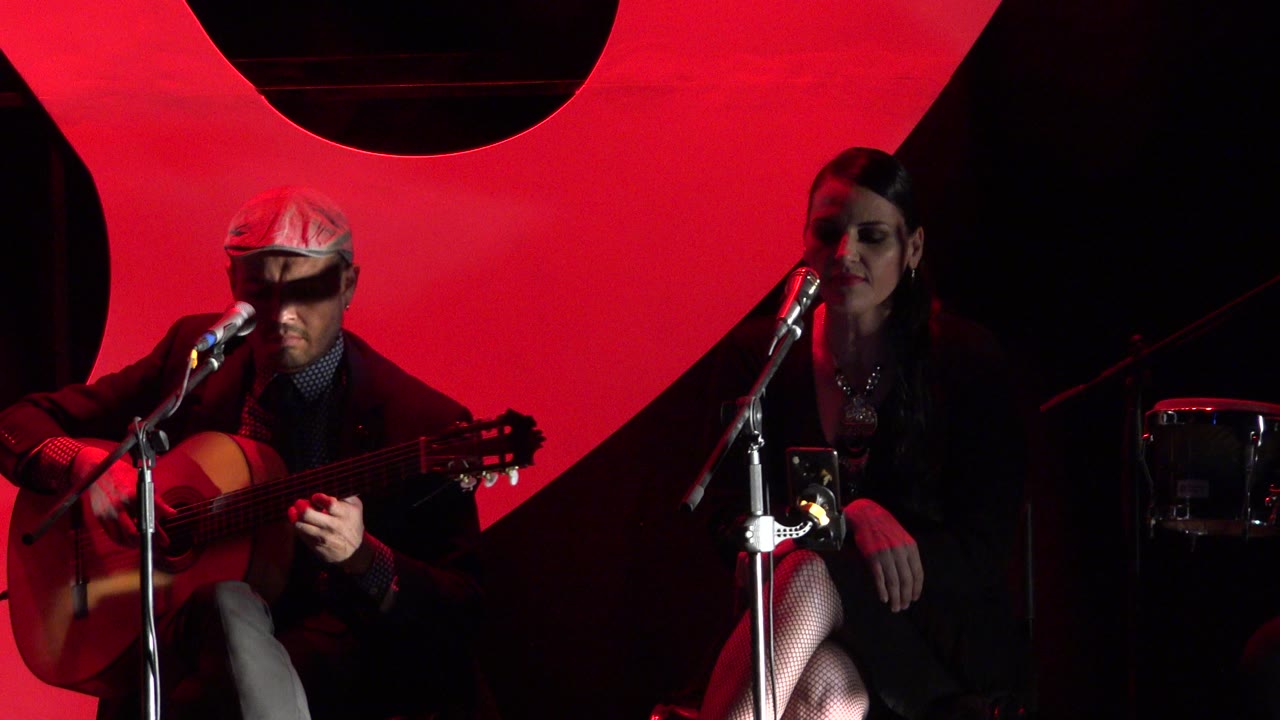 Guitarist strums acoustic guitar while the singer sits at a microphone on a dark stage.