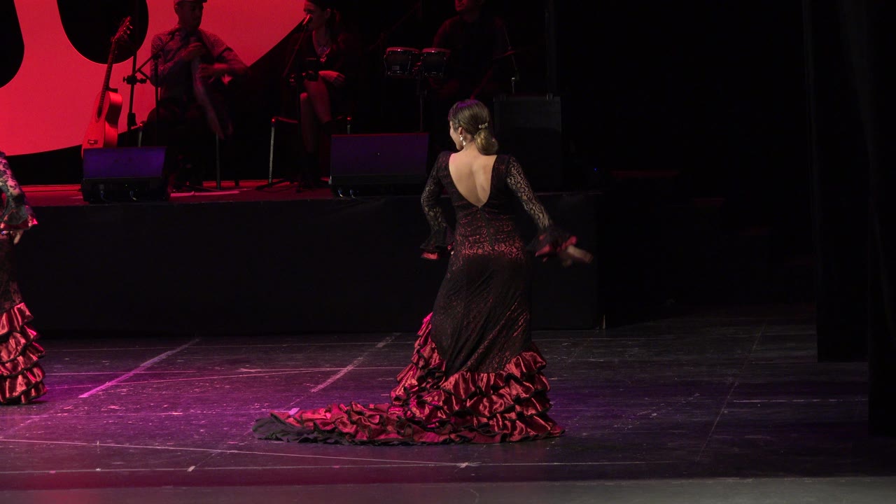 Female dancer in black and red dress seen from behind on a dark stage.