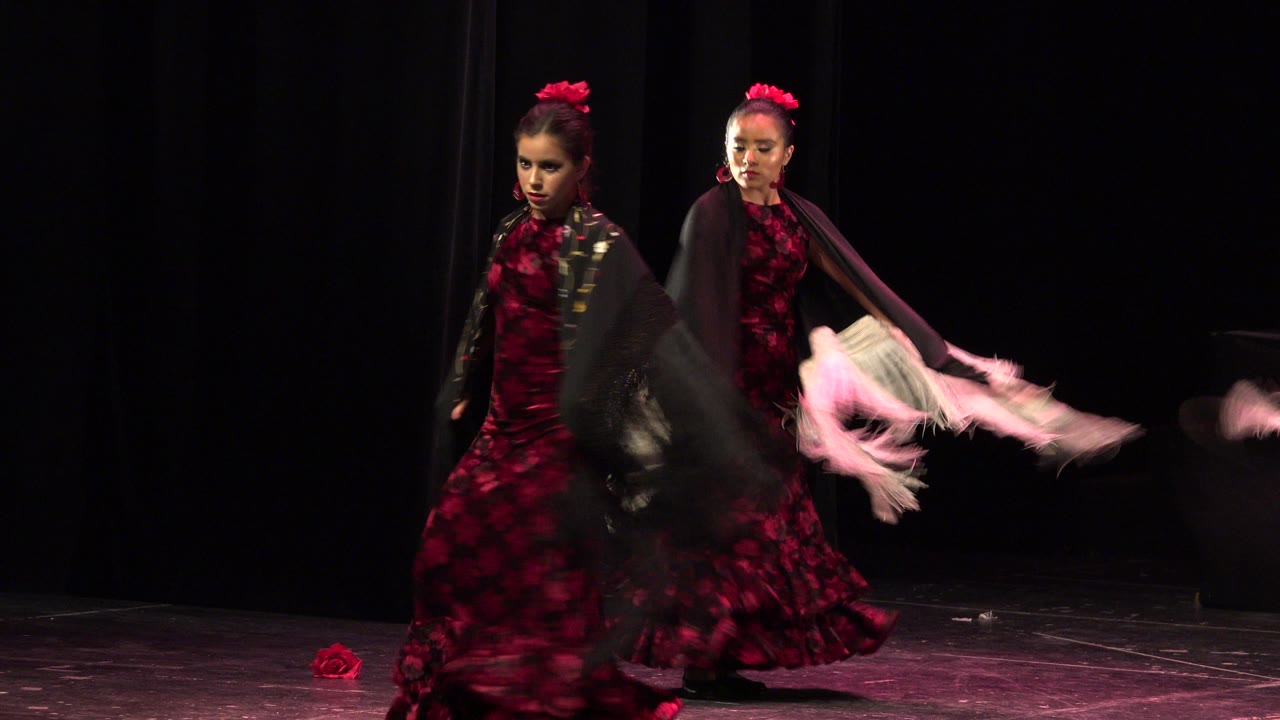 Two young dancers in Cabo San Lucas remain side by side as one pale-fringed black shawl swings outward, creating motion blur against the black background.