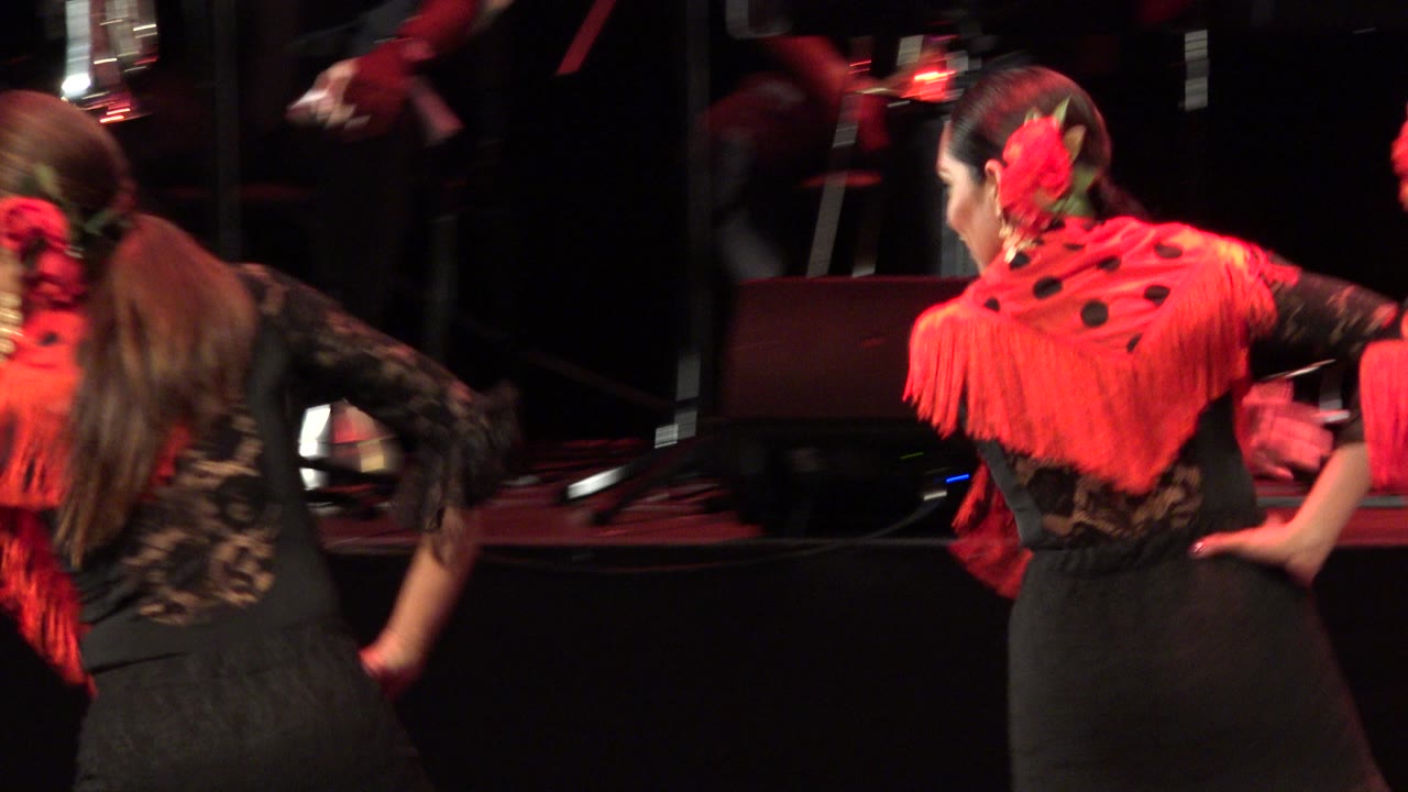 Two flamenco dancers in red and black costumes seen from behind on a dark stage.