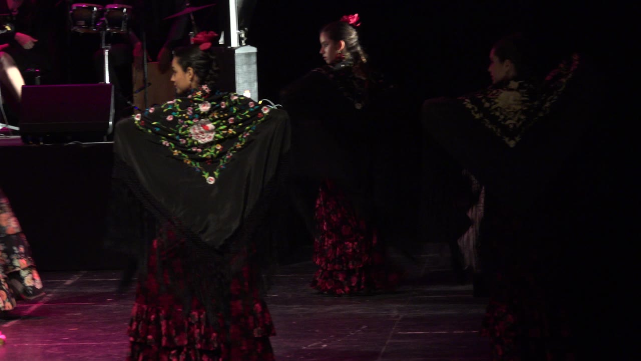 Dancers in dark floral costumes on a pink-lit stage.