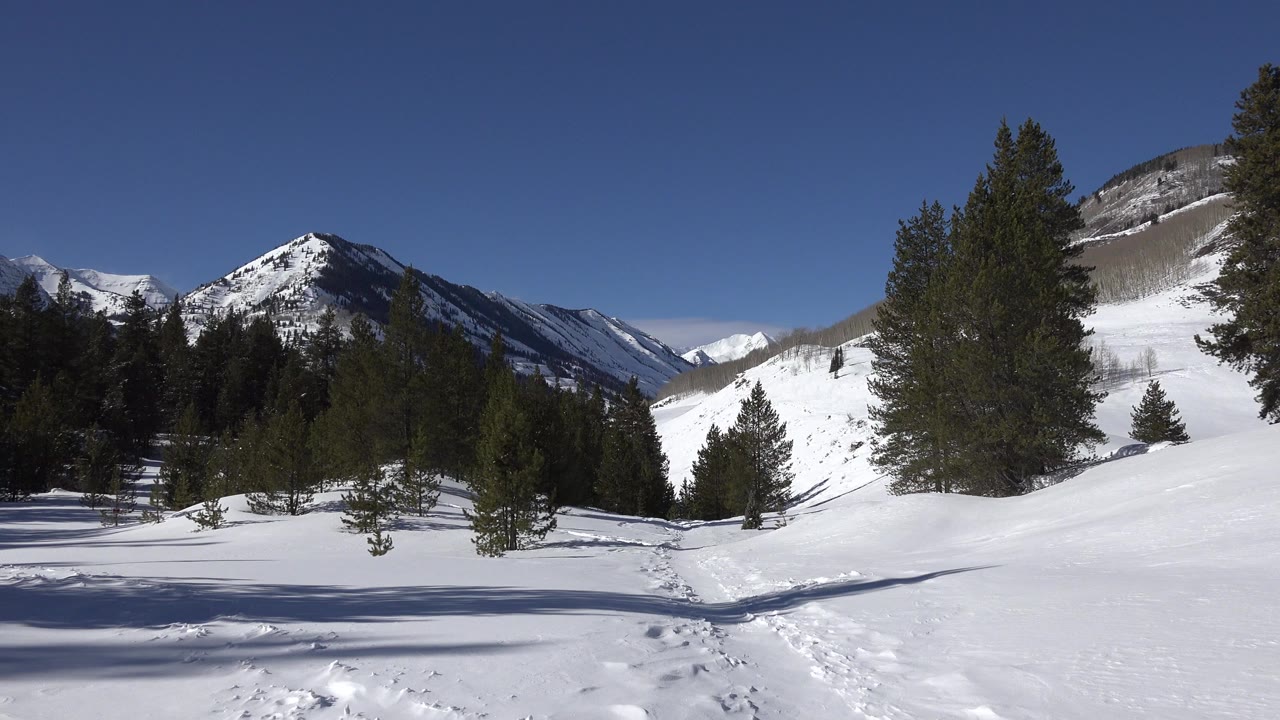Opening view in Crested Butte, Colorado, with snow-covered ground, evergreen trees, distant mountain ridges, and no visible people.