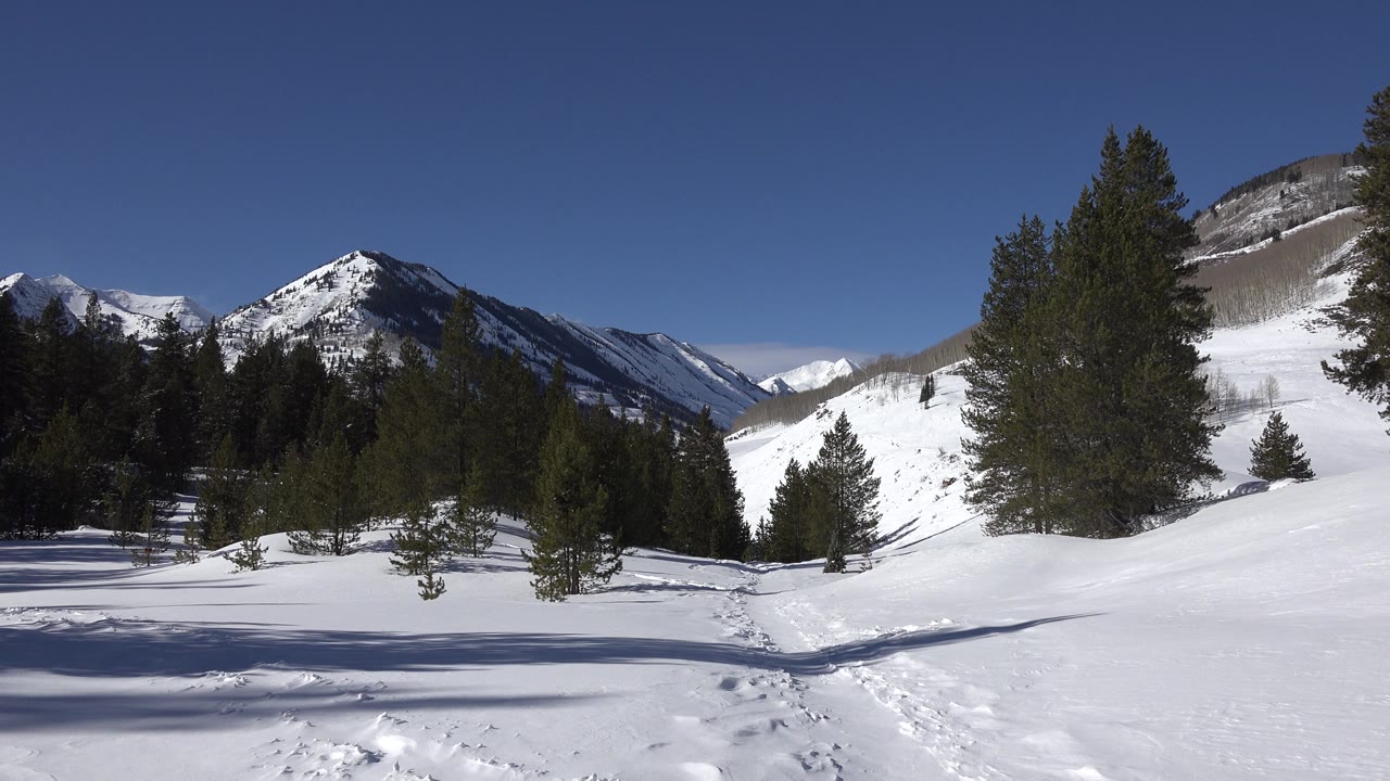 Snow path leading through evergreens toward mountain peaks.