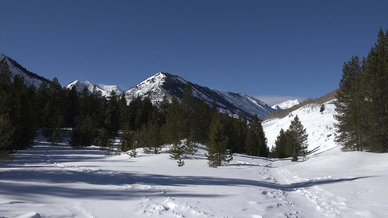 Wide Crested Butte, Colorado winter view with snow-covered ground, evergreen trees, distant mountain peaks, clear blue sky, and no visible people.