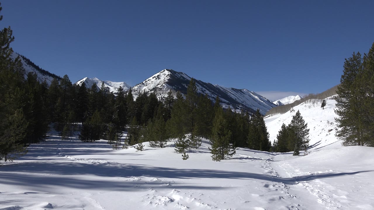 Evergreens and snowy peaks viewed across a winter clearing.