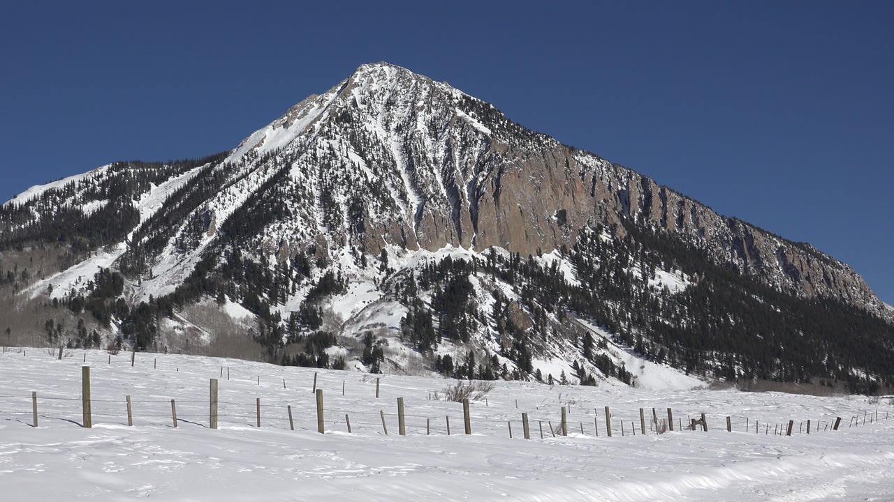 Wide winter view in Crested Butte, Colorado, with a snow-covered field, scattered wooden fence posts, a steep tree-lined mountain, clear blue sky, and no visible people.