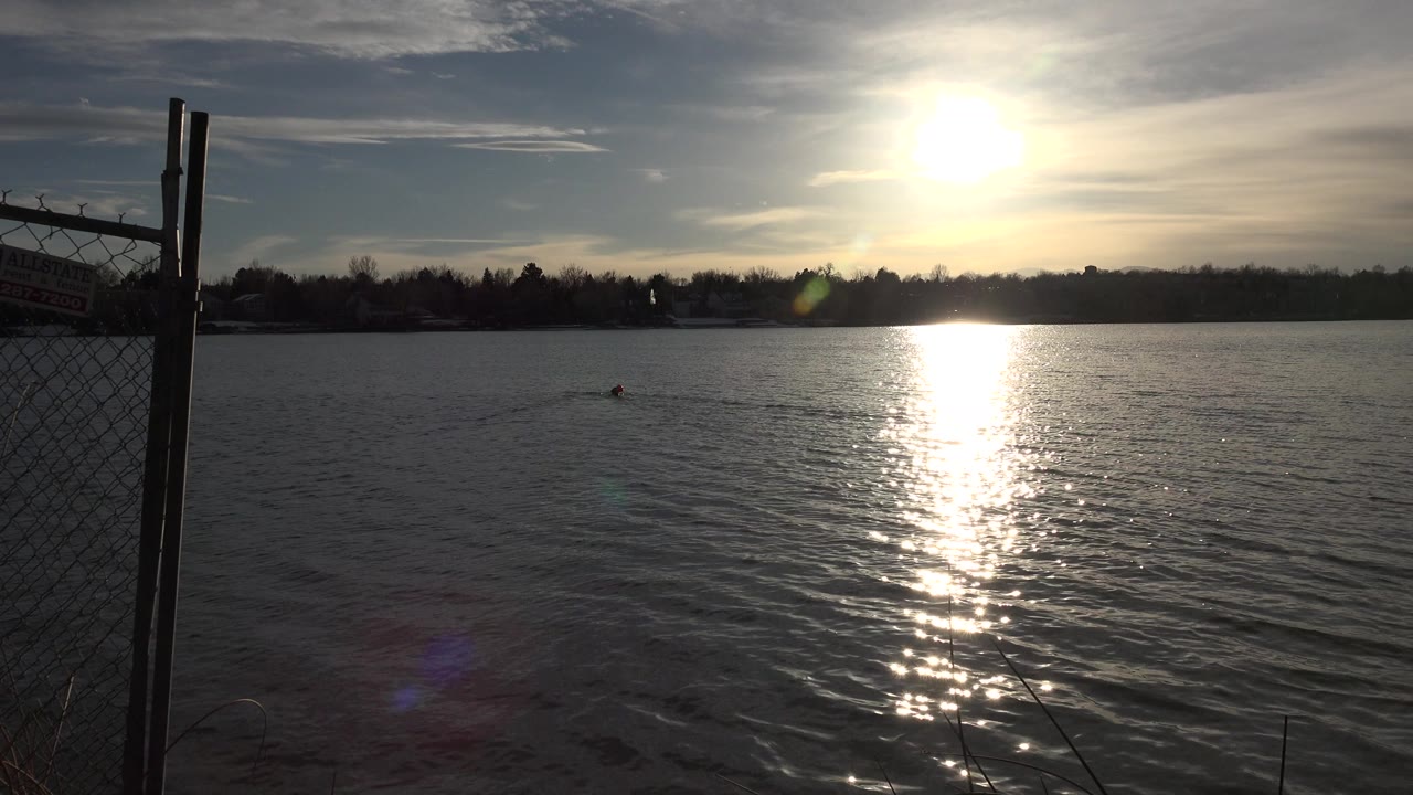 At 0:00 in Westminster, Colorado, the sun casts a bright vertical reflection on rippling water with chain-link fence at the left edge, a distant treeline, and no visible people.