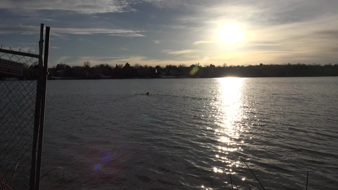At 0:01 in Westminster, Colorado, a small bird or floating subject sits left of the sun reflection on the rippled water, with the fence still visible at left and no visible people.
