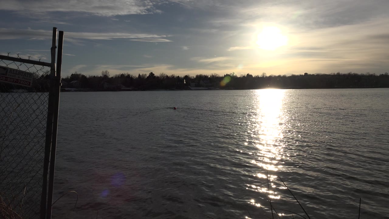 Sunlit water and distant treeline with fence posts in the foreground.