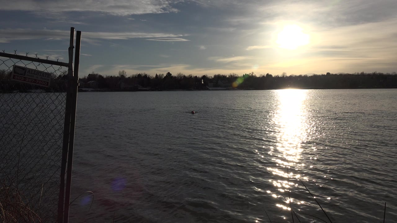 At 0:01 in Westminster, Colorado, the small animal remains mid-pond below the sun streak, with ripples trailing behind it, distant trees on the shoreline, and no visible people.