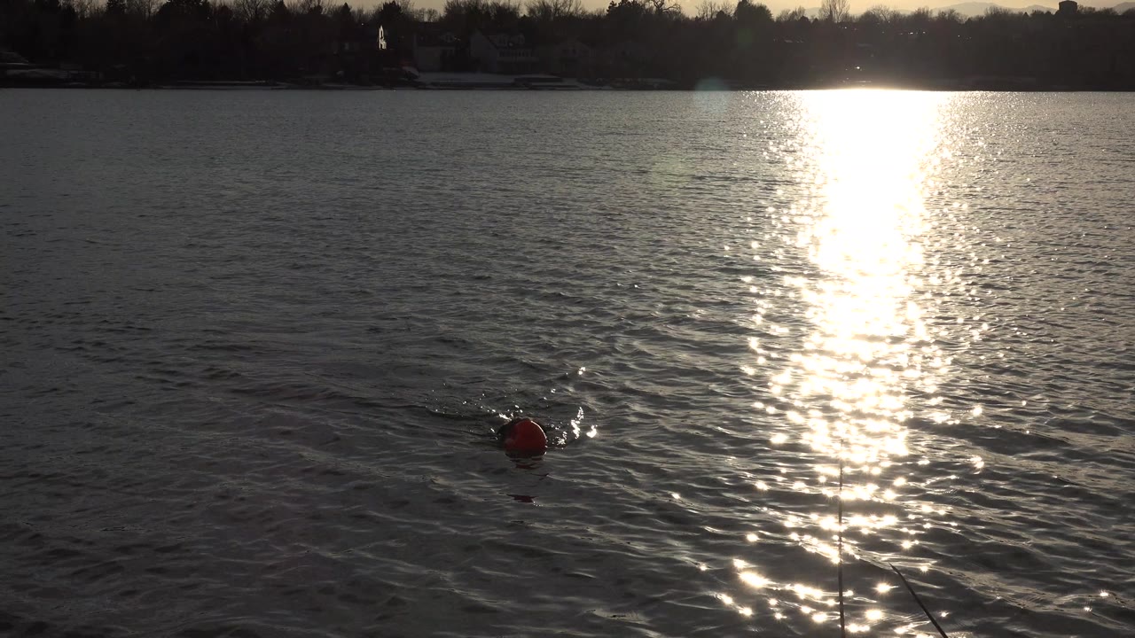 At 0:01, the dog remains small in the lower left water while the red toy sits beside it under a broad vertical glare on the Westminster, Colorado water, with no visible people.