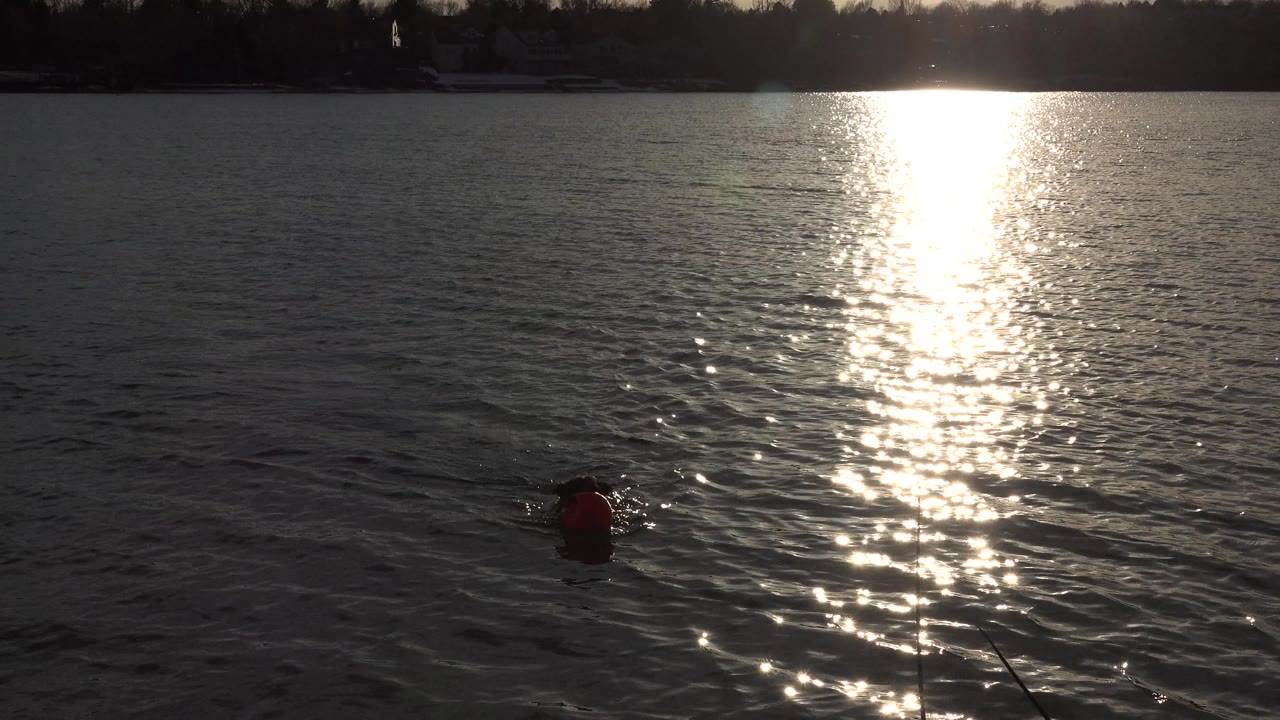 Red toy and dog shape in darker water near the sun path.