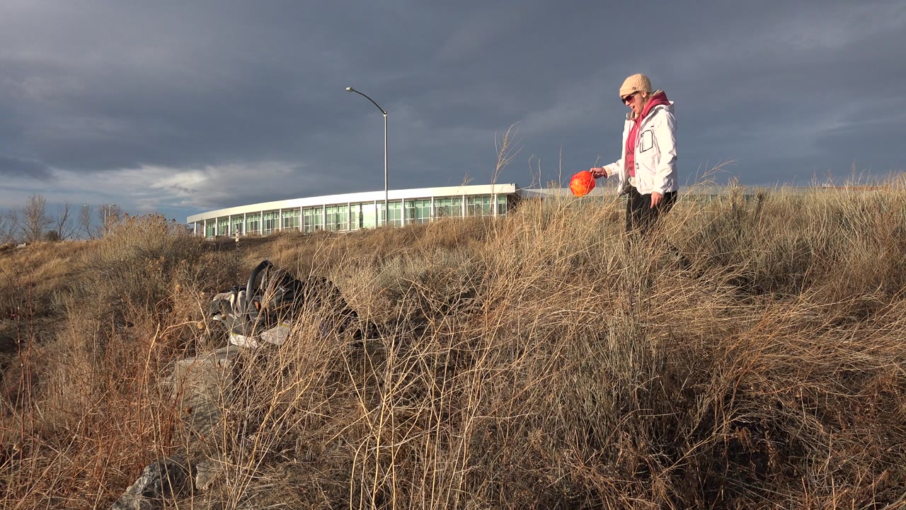 The owner remains on the dry grassy bank in Westminster, Colorado, with rocks below, a low building behind, and the lake edge partly visible at left.