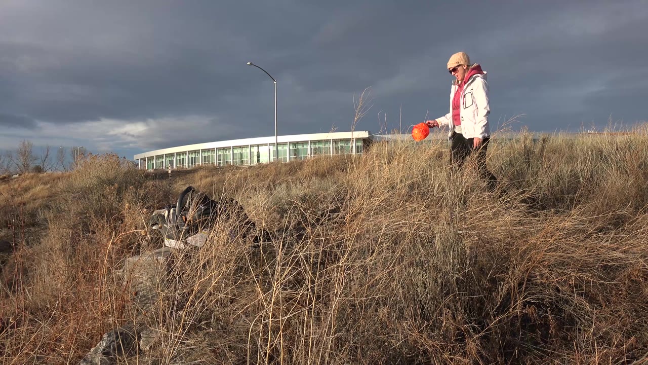 In Westminster, Colorado, the person appears farther right along the dry bank, with the dog lower in the brush and a long glass-fronted building in the background.