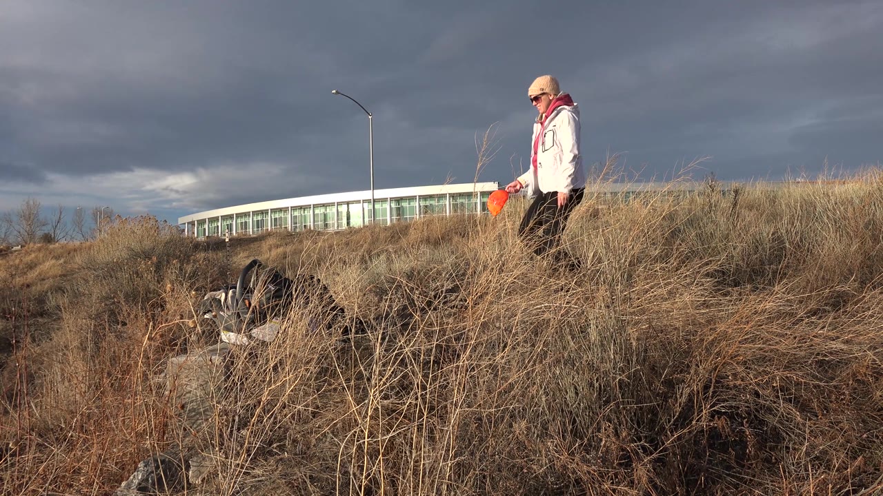 In Westminster, Colorado, the person stands near the right side of the frame while the dog remains low among rocks and tan grass, with heavy clouds over the background building.